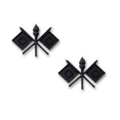 Army Signal Corps Branch Insignia – Officer And Enlisted -GI - Army Issue Surplus Store army signal corps branch insignia subdued