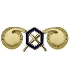 US Army Chemical Corps Insignia -GI - Army Issue Surplus Store army chemical insignia3