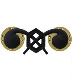 US Army Chemical Corps Insignia -GI - Army Issue Surplus Store army chemical insignia4