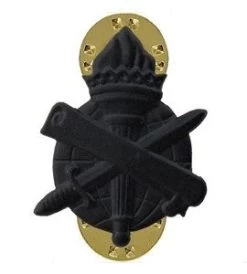 Civil Affairs Insignia -GI - Army Issue Surplus Store army civil affairs4