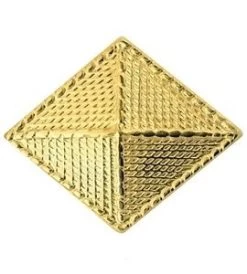 US Army Finance Corps Insignia -GI - Army Issue Surplus Store army finance insignia3