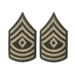 AGSU Chevron - First Sergeant E-8