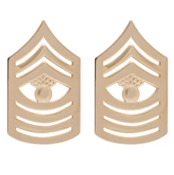 Satin Gold Master Gunnery Sergeant Marine Corps Rank