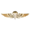 Marine Corps Parachutist Wings