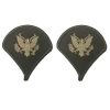 AGSU Chevron - Specialist E-4 -GI - Army Issue Surplus Store specialist
