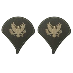 AGSU Chevron - Specialist E-4